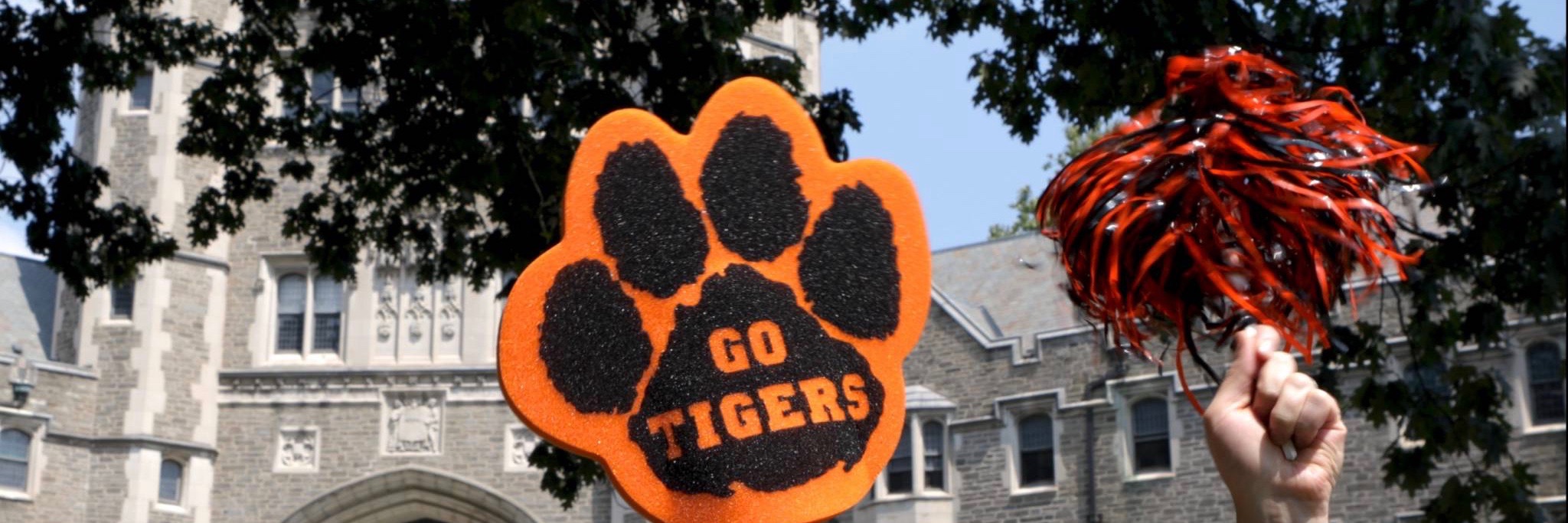 Go Tigers Princeton Campus