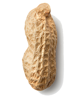 peanut4